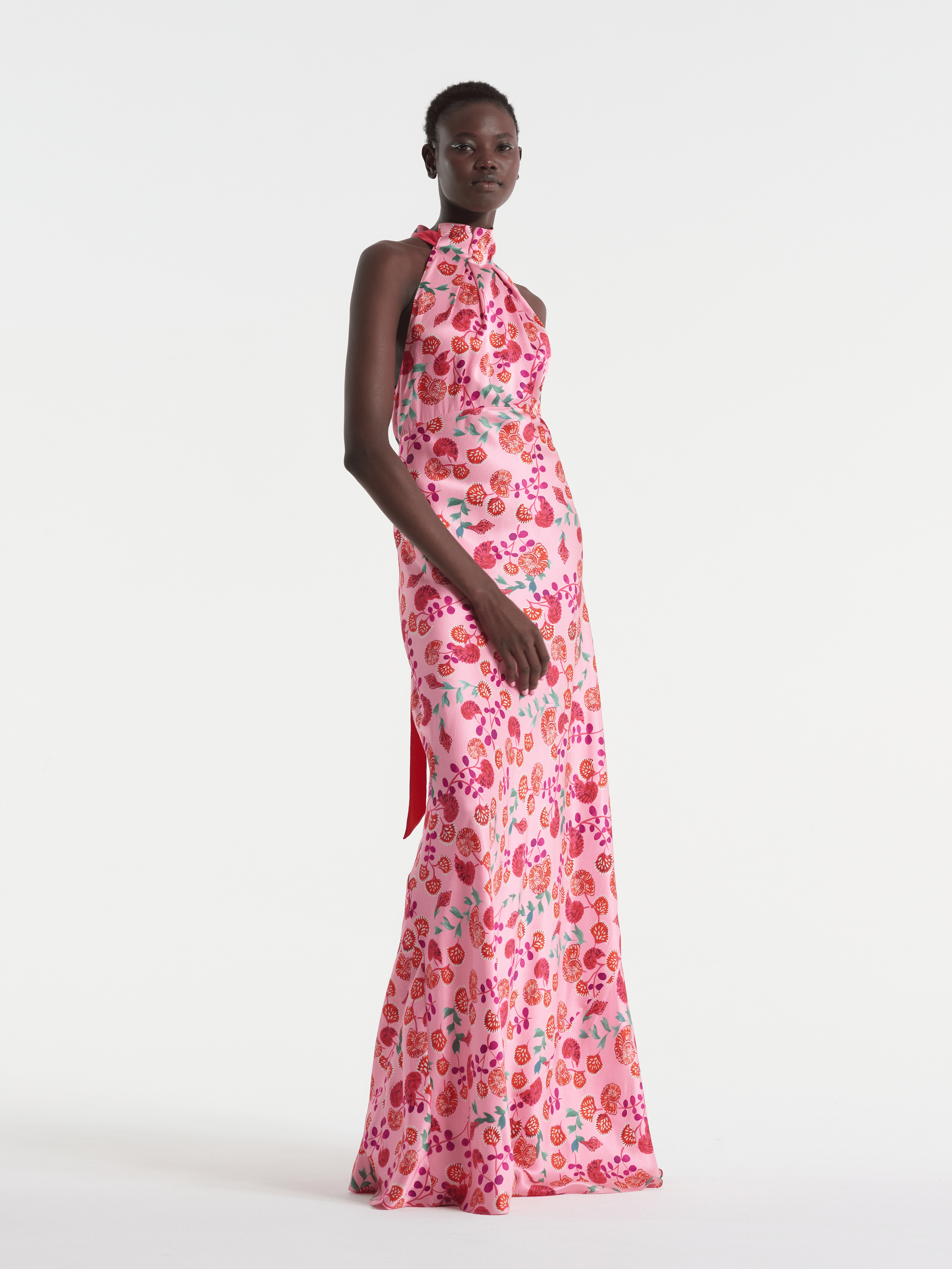 Michelle Dress in Ammonite Rose