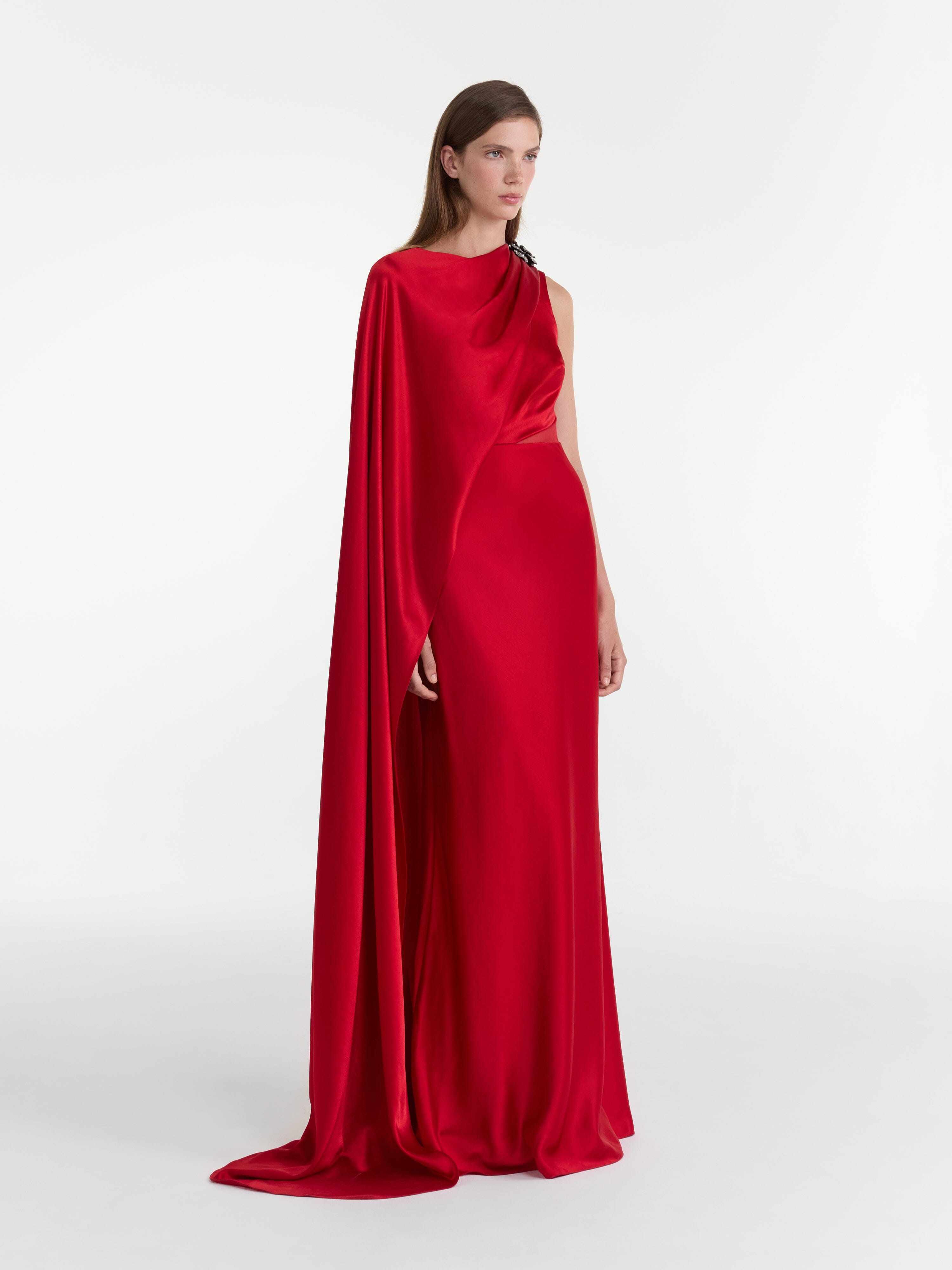 Phoenix Long Dress in Scarlet Crystalrose