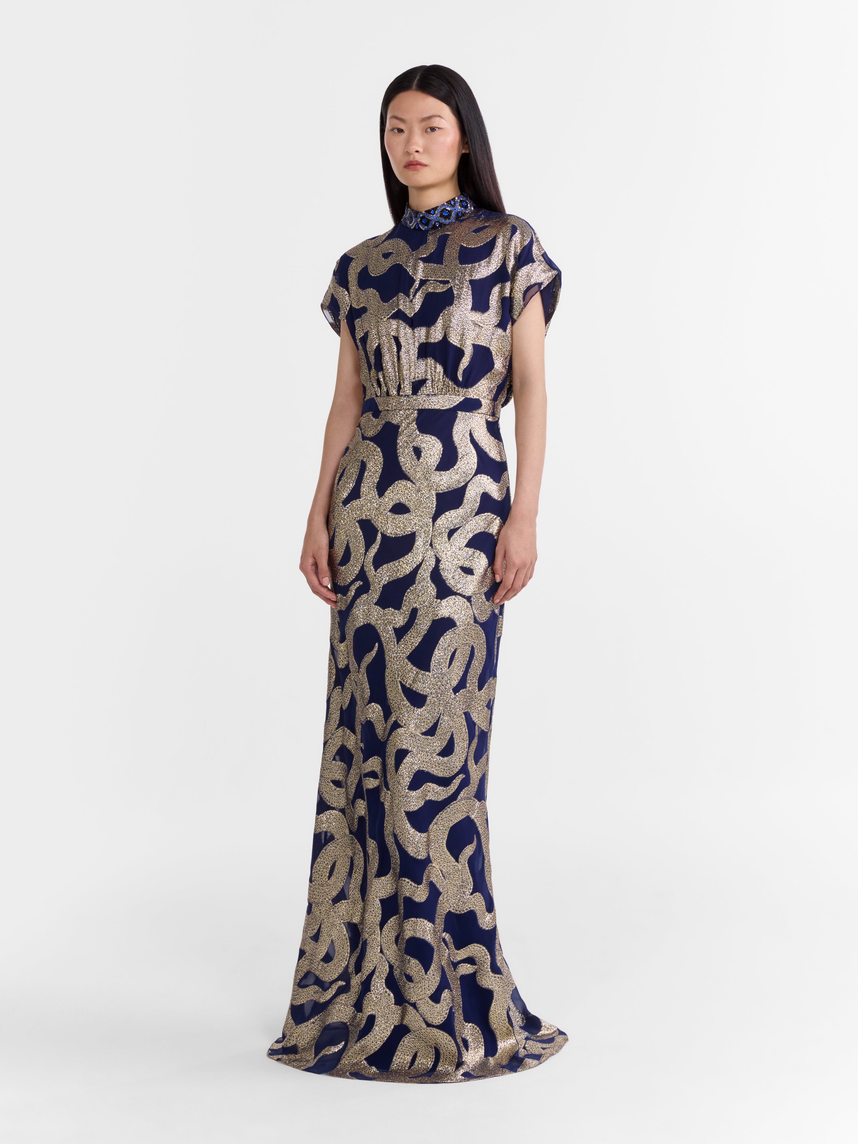 Fabienne Long C Dress in Navy Jet Adder Embroidery